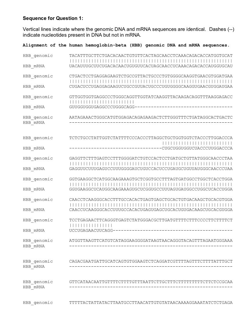 Solved 1. The hemoglobin-beta (HBB) gene is implicated in | Chegg.com