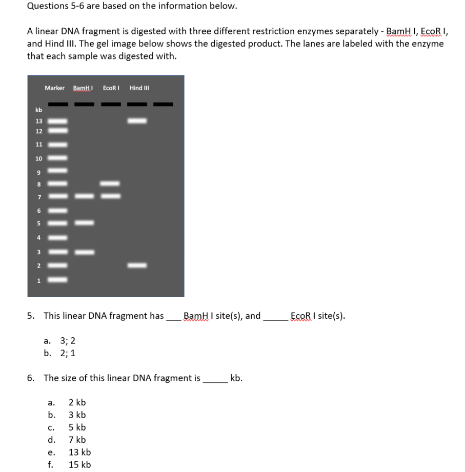 Solved Questions 5-6 are based on the information below A | Chegg.com