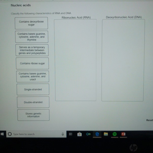Solved Nucleic acids Classify the following characteristics