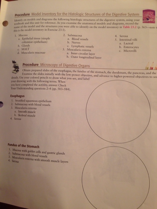 Solved PreLab Exercise 233 Digestive Enzymes Brush border
