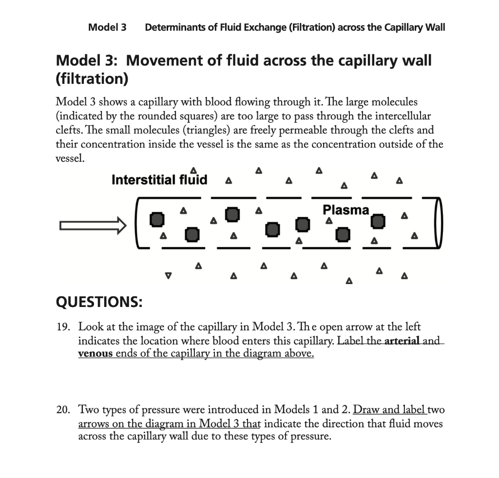 Model 3 Determinants of Fluid Exchange (Filtration)