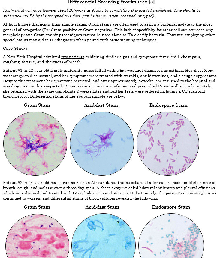 Solved Differential Staining Worksheet 5 Apply What You Chegg