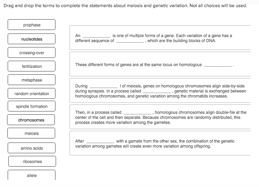 Solved Drag and drop the terms to complete the statements | Chegg.com