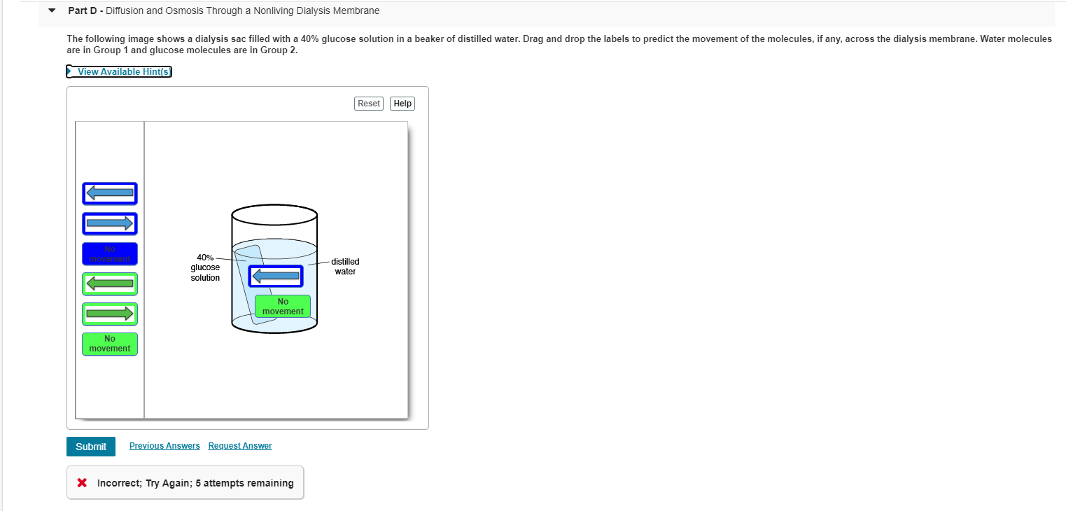 Solved The following image shows a dialysis sac filled with