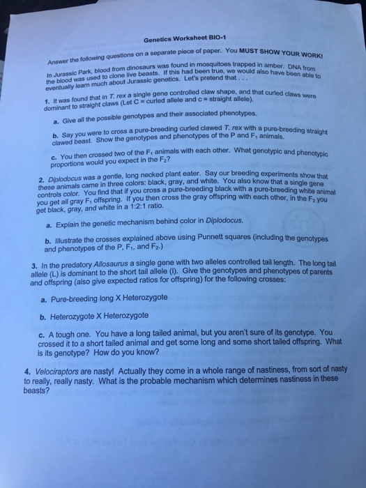 Solved Genetics Worksheet BIO-1 the following questions on a | Chegg.com