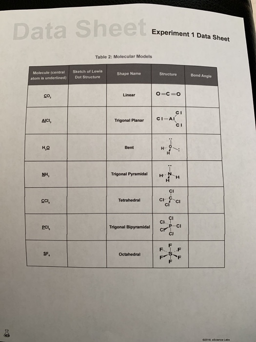 Solved Molecular Models Of Neutral Molecules Experiment I...