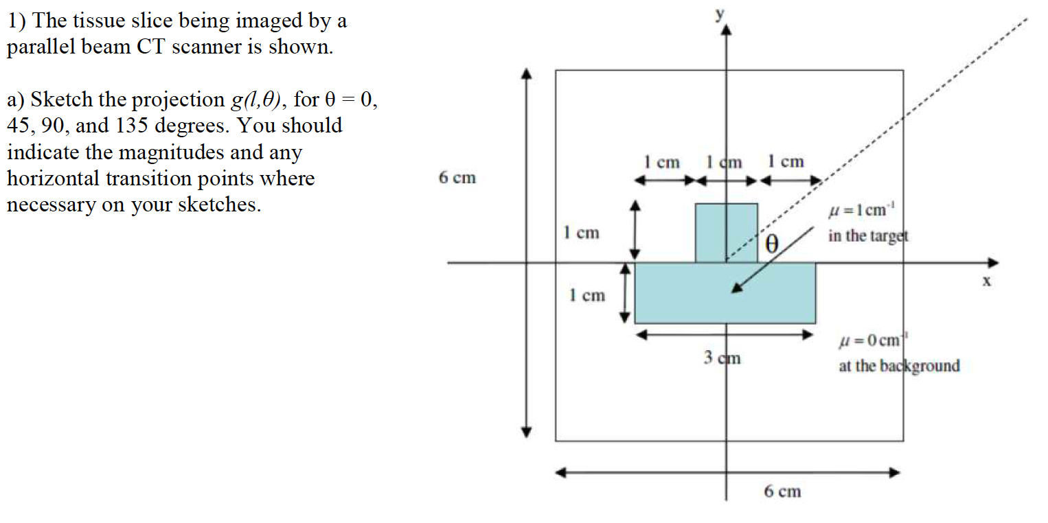 1) The tissue slice being imaged by a parallel beam | Chegg.com