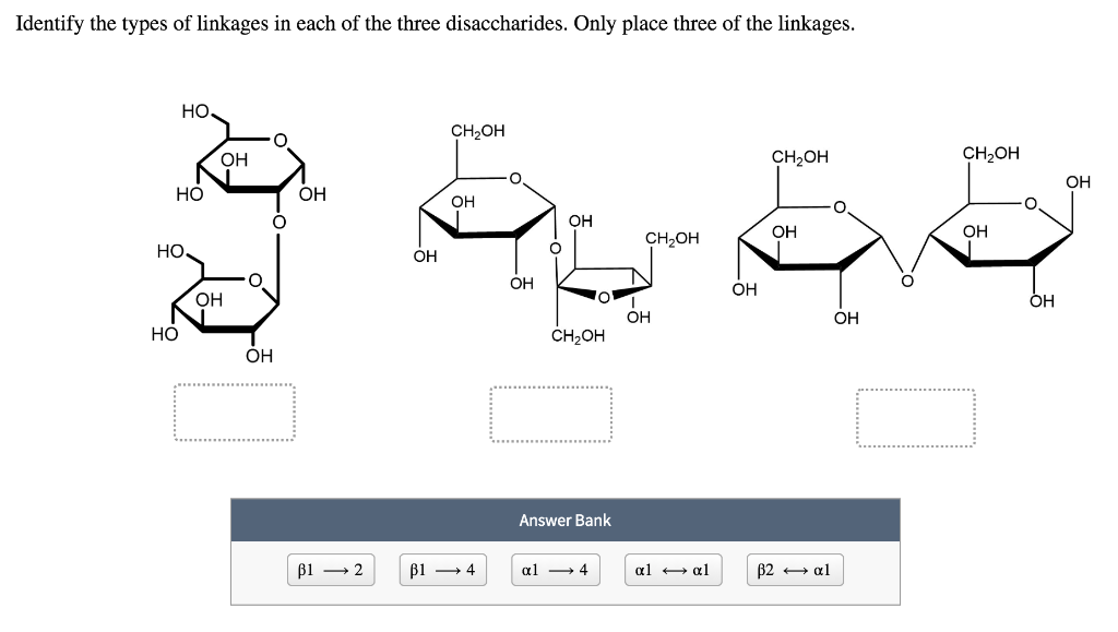 solved-disaccharides-are-joined-by-glycosidic-bonds-formed-chegg