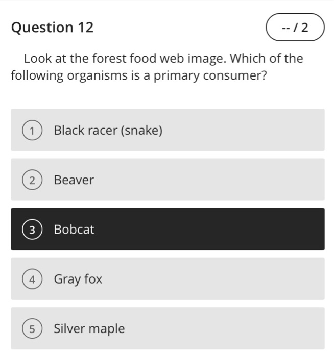 Solved Question 12 Look at the forest food web image. Which | Chegg.com