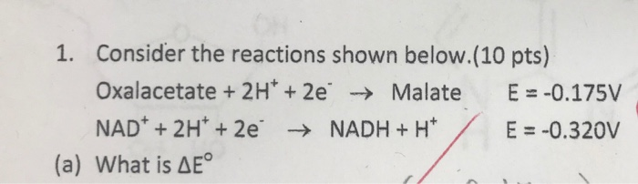 Solved Consider The Reactions Shown Below 10 Pts 1 Oxa Chegg Com