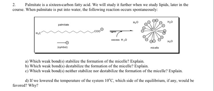 Solved 2. Palmitate is a sixteen-carbon fatty acid. We wl | Chegg.com