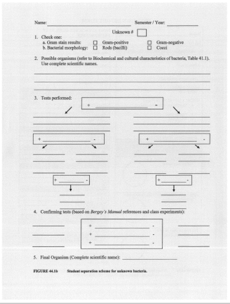 Solved Name: Semester / Year: Unknown 1. Check one: a. Gram | Chegg.com