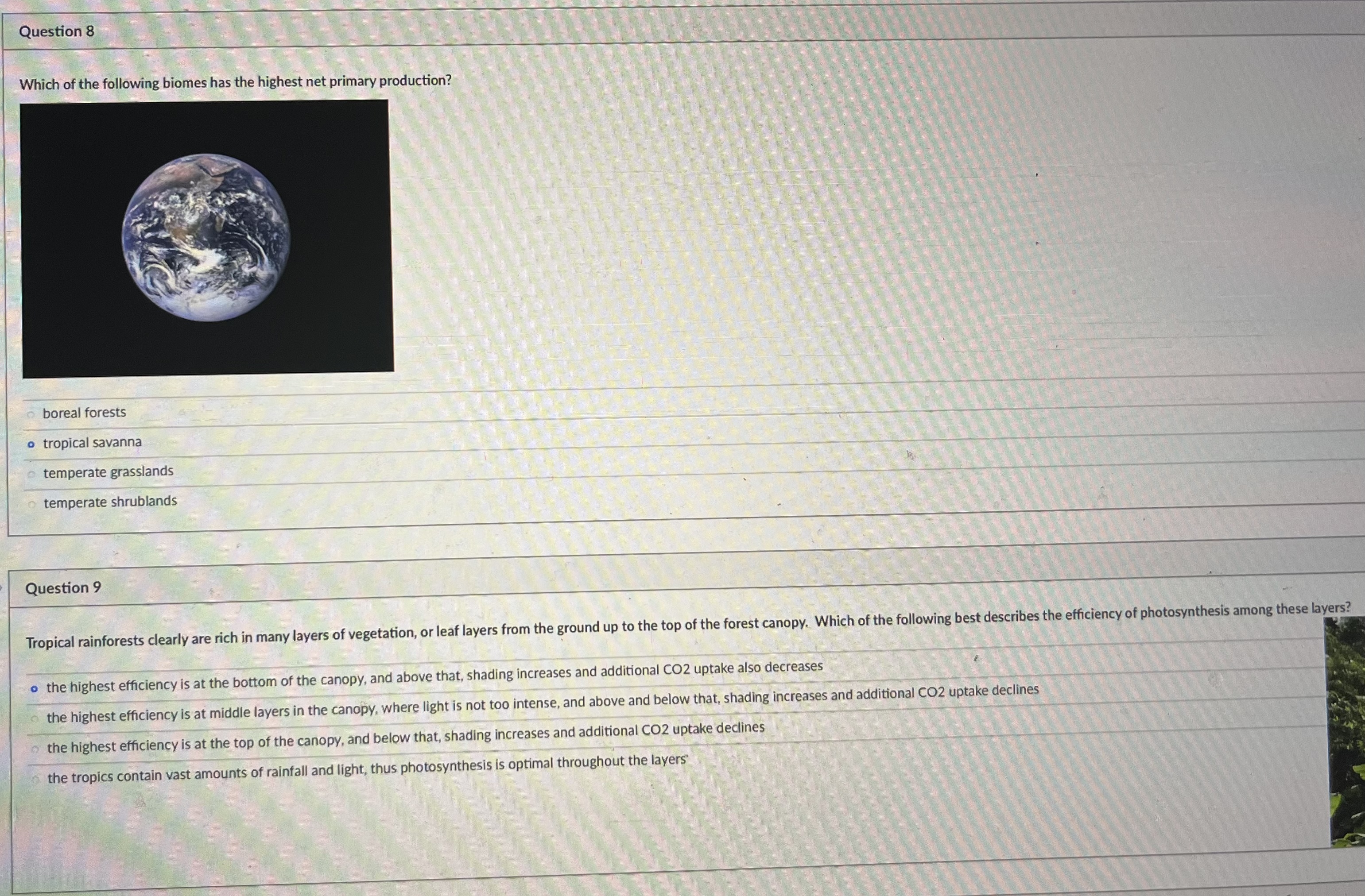 Solved Which of the following biomes has the highest net Chegg com