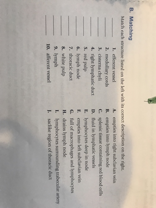 Solved B. Matching Match Each Structure Listed On The Left | Chegg.com