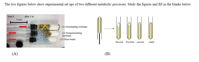Solved The two figures below show experimental set ups of | Chegg.com