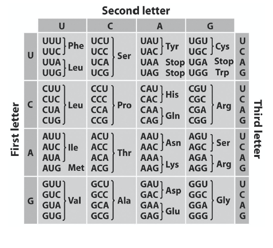 Solved 5.4 The image shown below is the structure of a | Chegg.com