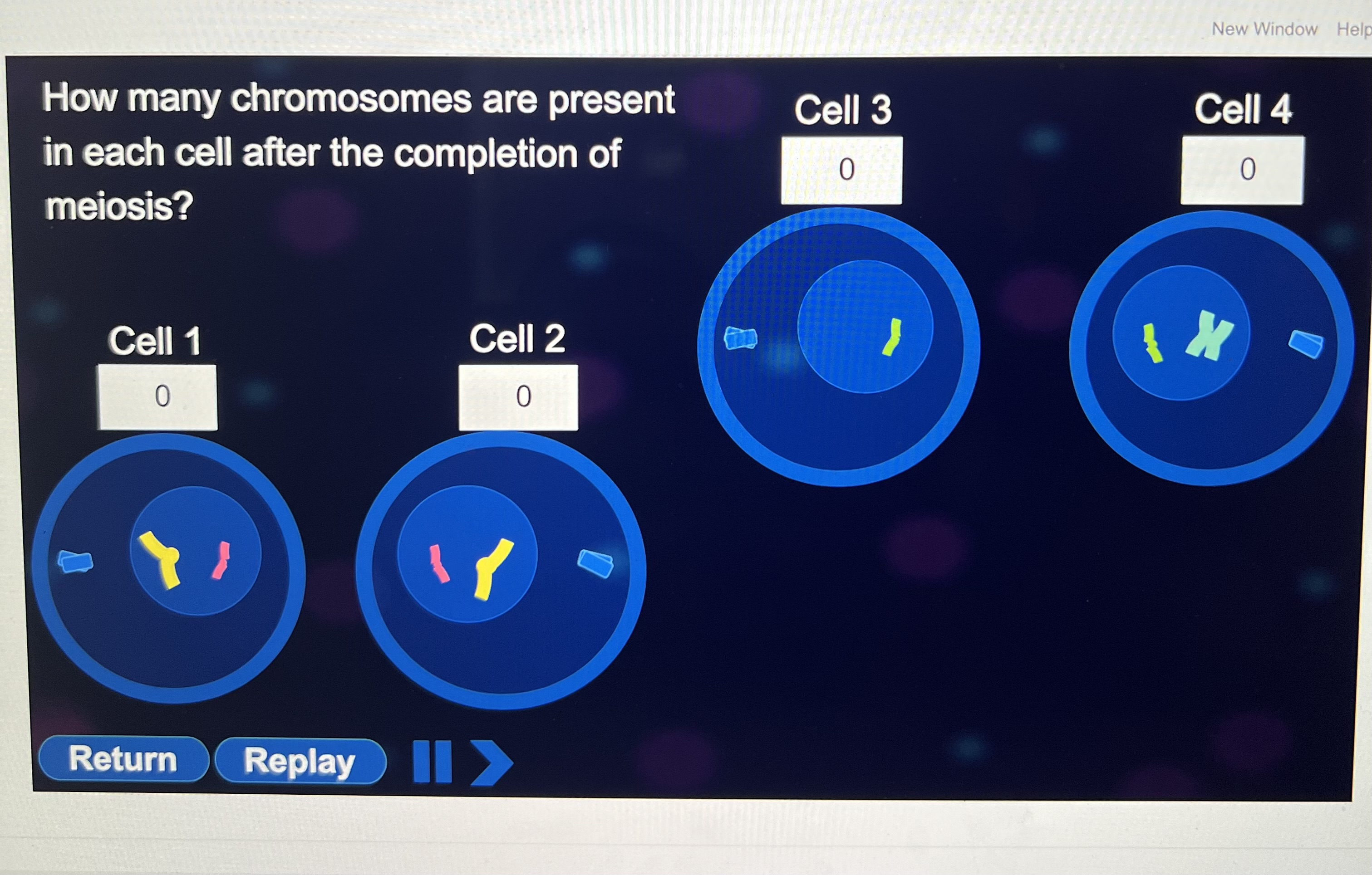 Solved Part 4 how many chromosomes are present in each cell