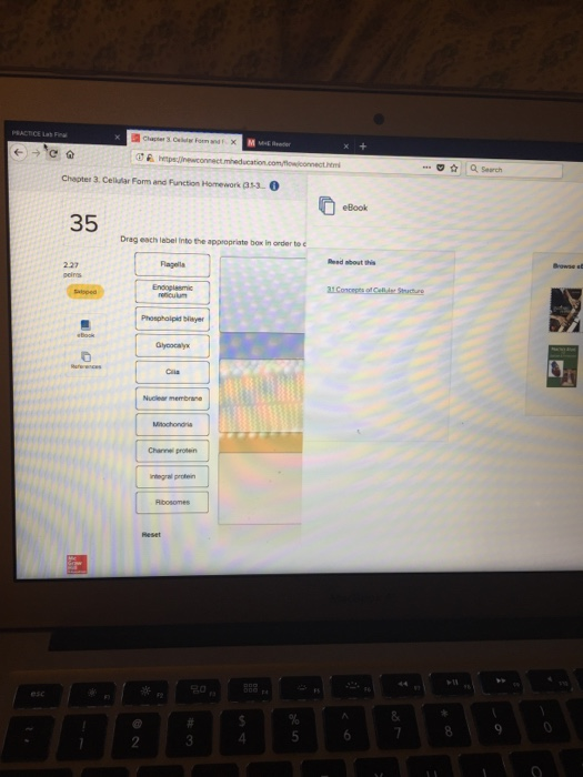 Solved Drag each label into the appropriate box whether each | Chegg.com