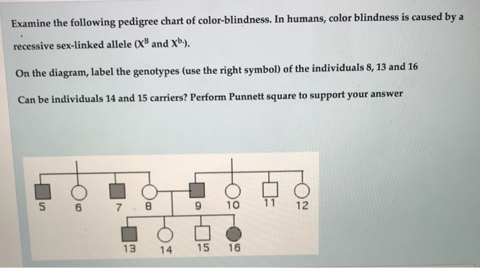 Solved Examine the following pedigree chart of | Chegg.com
