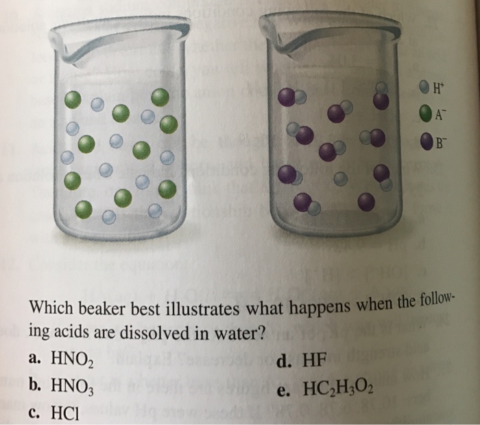 Solved Ht Which beaker best illustrates what happens when