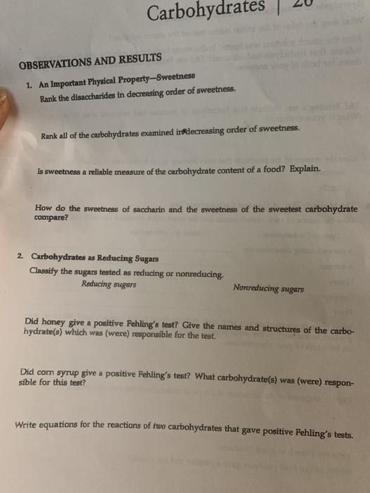 Carbohydrates worksheet quizlet image