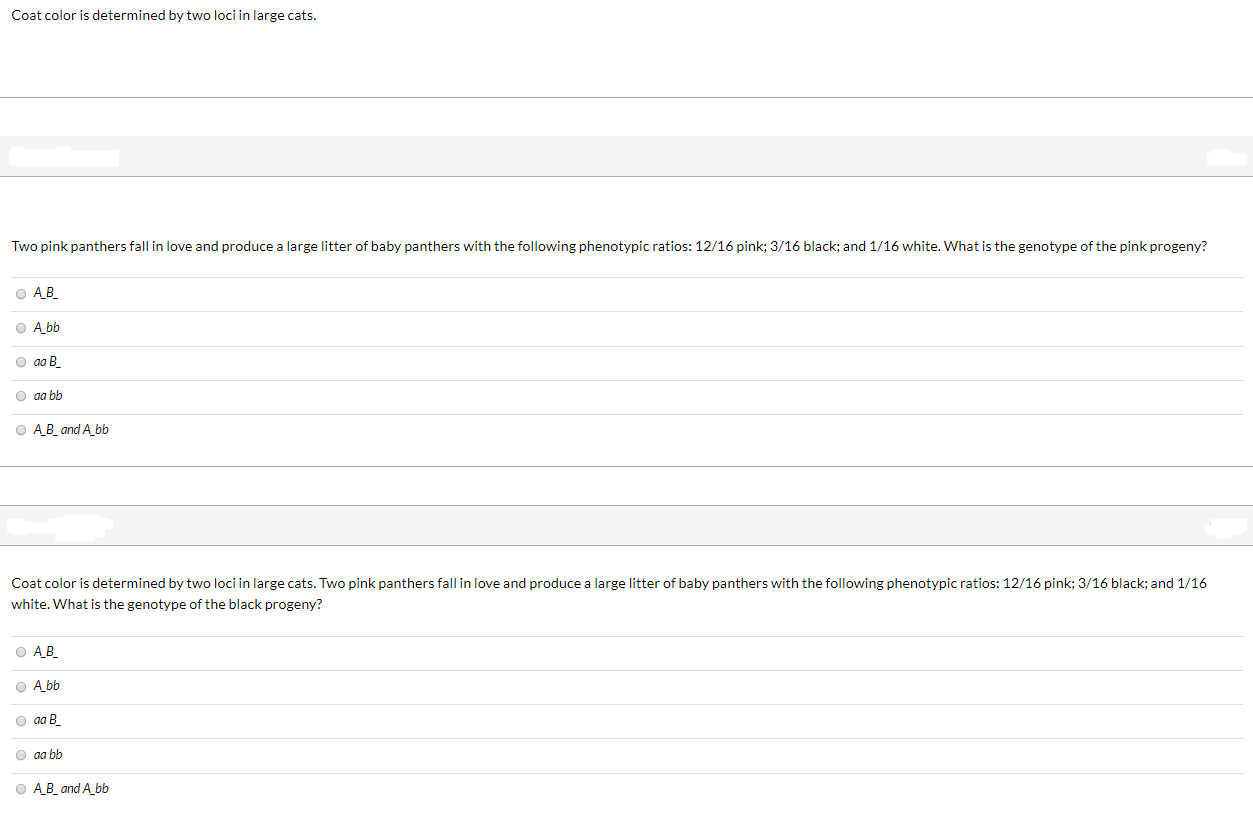 Solved Coat color is determined by two loci in large cats.