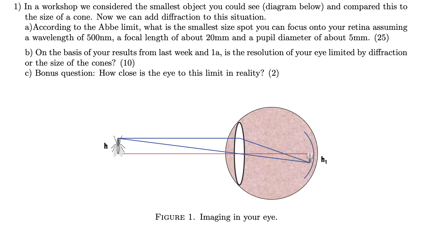 Solved 1) In a workshop we considered the smallest object | Chegg.com