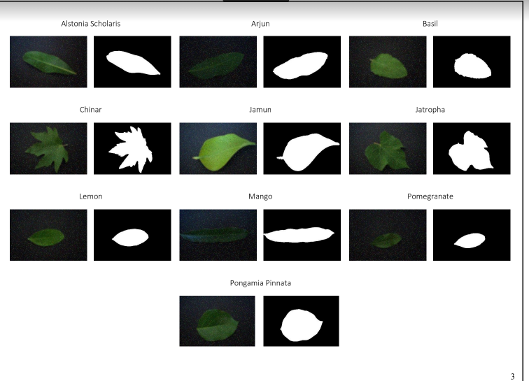12th Project - Plant Leaf Classification Design a | Chegg.com
