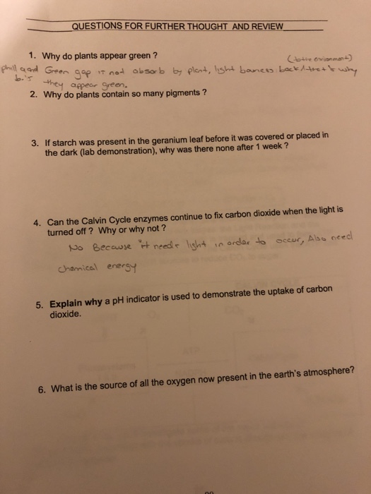 Solved ER T 1. Why do plants appear green ? they appear