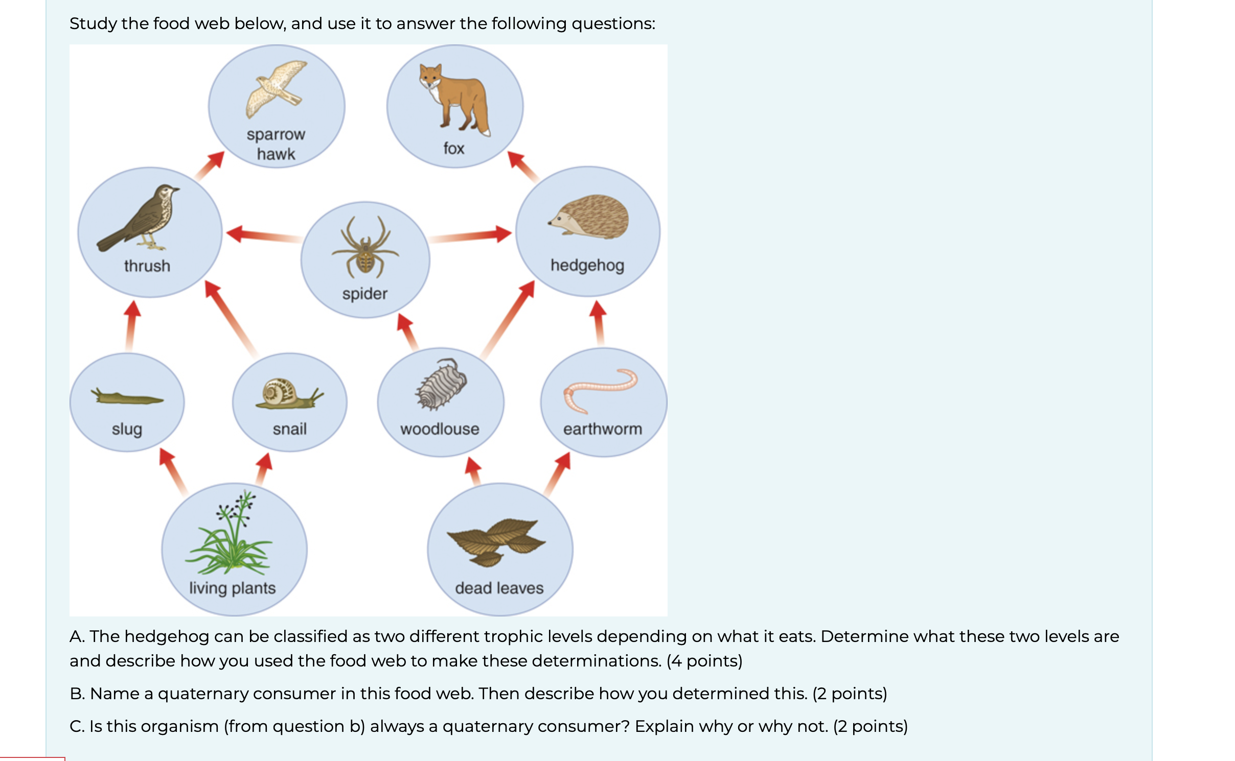 Solved Study the food web below, and use it to answer the | Chegg.com