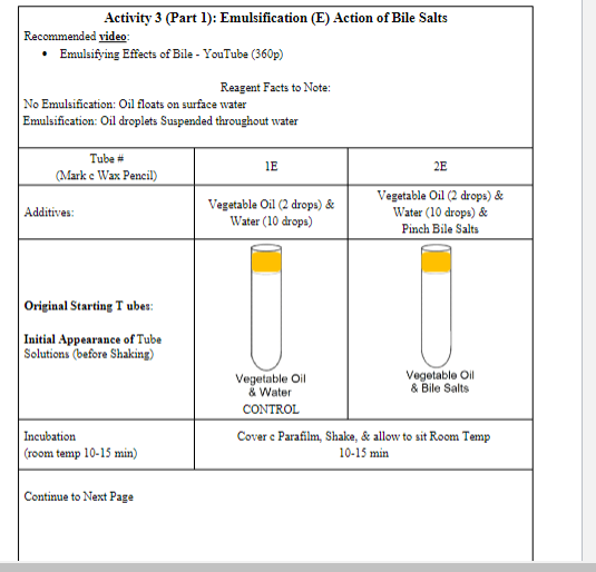 Solved Activity 3 (Part 1) Emulsification (E) Action of