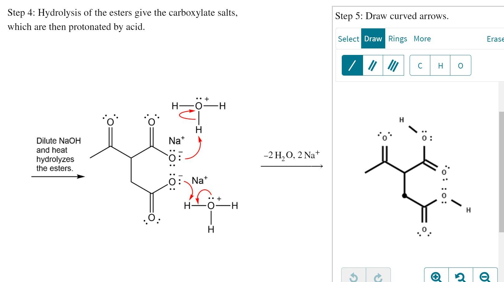 Solved Predict the major organic product of the given | Chegg.com