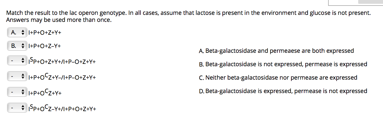 Solved Match The Result To The Lac Operon Genotype In Al Chegg Com