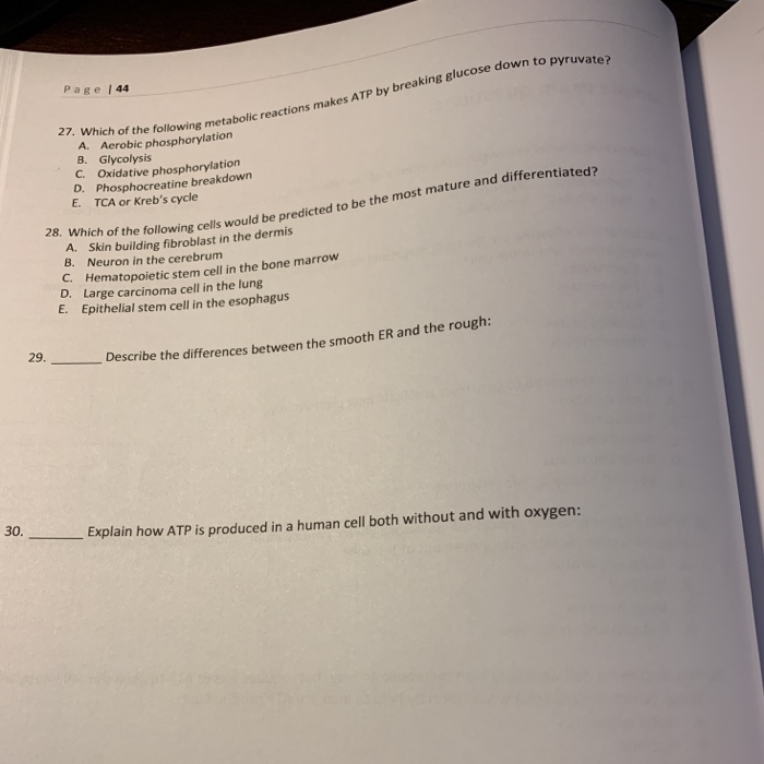 Solved 22. Concerning the cell membrane, the interior of the | Chegg.com