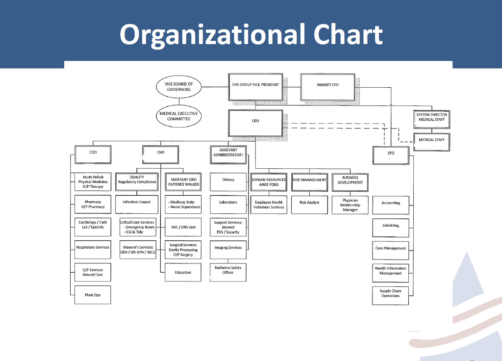 Cfo Org Chart A Visual Reference of Charts Chart Master