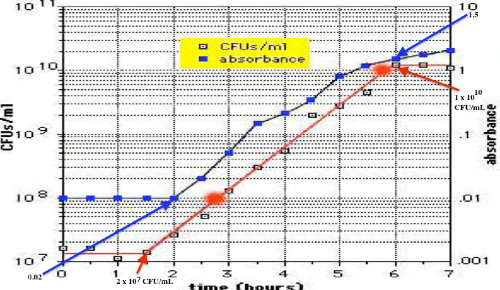 Solved Bacterial Growth Generation Time Calculation Chegg Solved Bacterial Growth Generation Time Calculation Chegg
