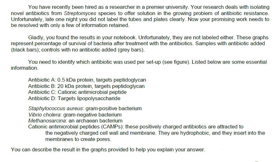 Plates Night - What you NEED to Know