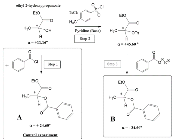 Solved The Nucleophilic Substitutions 