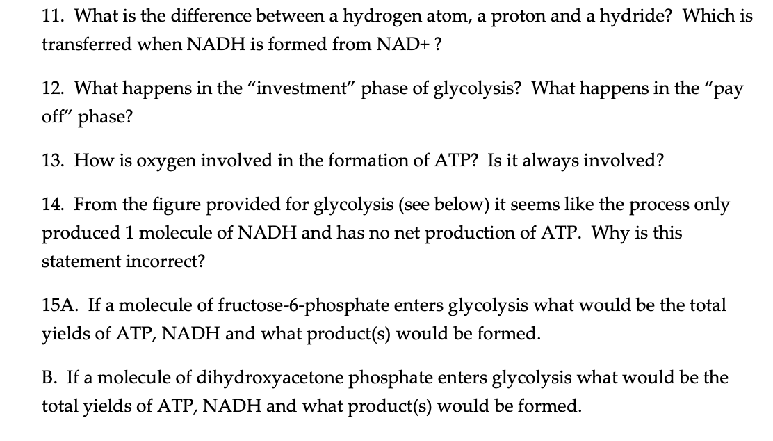 Solved 11. What is the difference between a hydrogen atom, a | Chegg.com