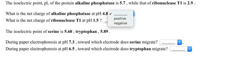 calculating isoelectric point of polypeptide