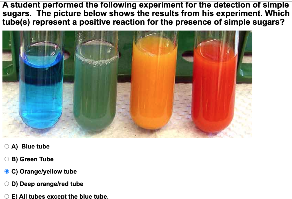Solved A student performed the following experiment for the | Chegg.com