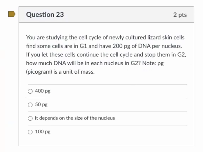 Solved Question 23 2 pts You are studying the cell cycle of | Chegg.com
