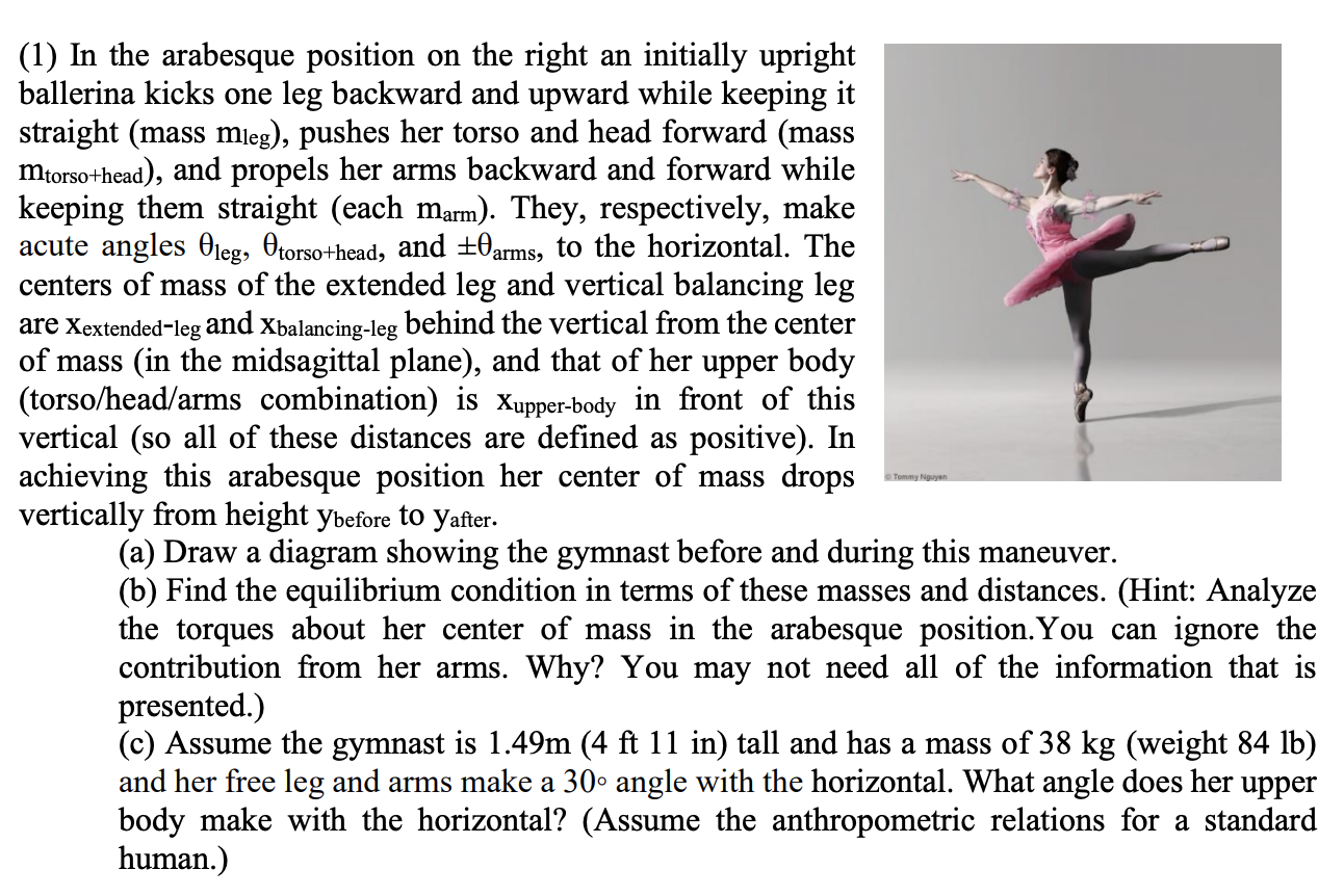 Solved (1) In the arabesque position on the right an | Chegg.com