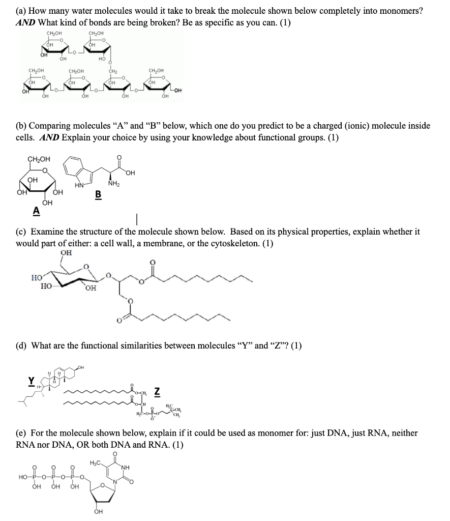 The Shocking Truth How Many Water Molecules Break Apart - oibr9yq