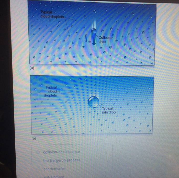 Solved cloud droplets Collector drop Typical cloud droplets