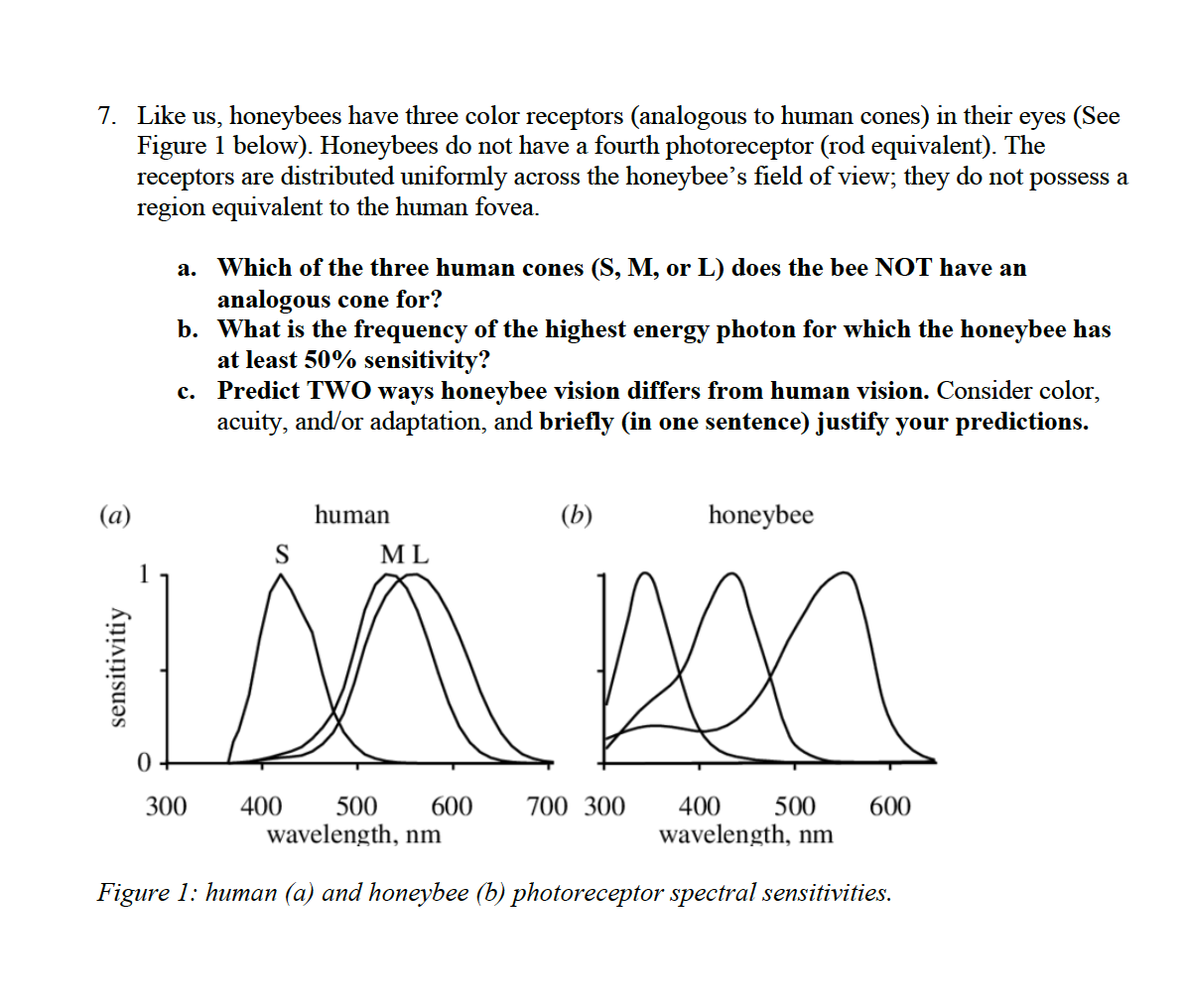 Solved 7. Like us, honeybees have three color receptors | Chegg.com