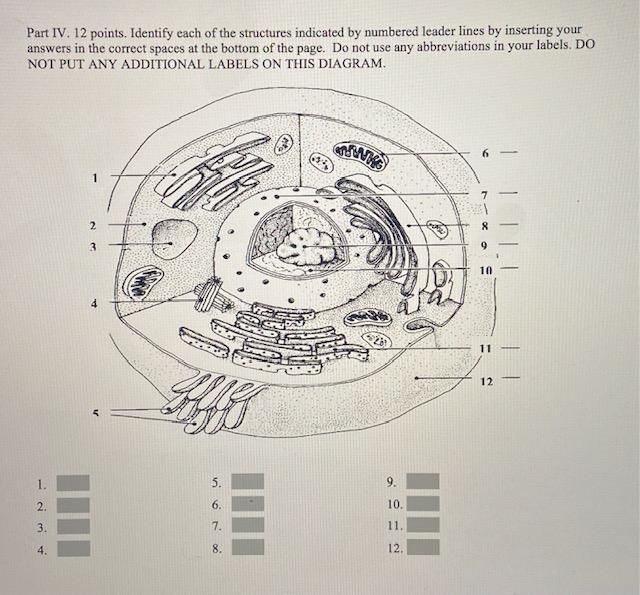 Solved Part IV. 12 points. Identify each of the structures | Chegg.com
