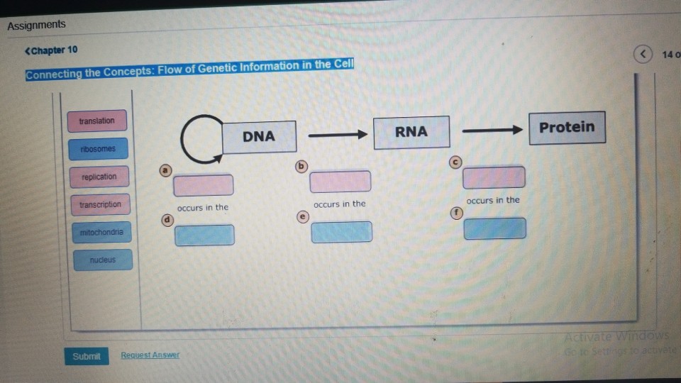 Solved Assignments | Chegg.com