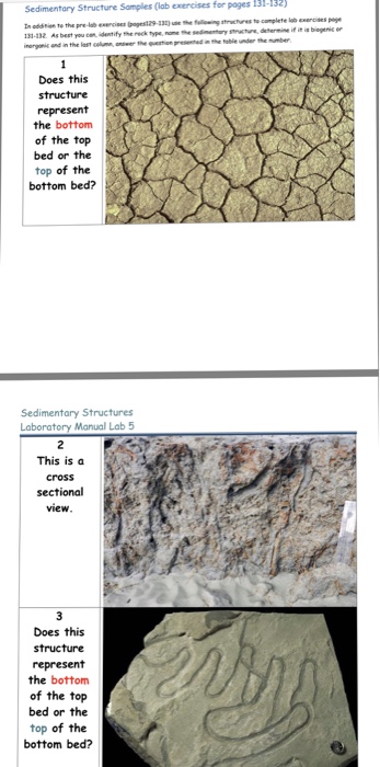 Solved LAB EXERCISES Using The Sedimentary Structures | Chegg.com