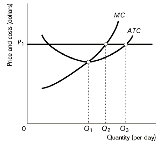 Solved In The Above Figure, If The Price Is P1, The 